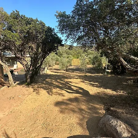 Les Toussaint Alojamento de Acomodação e Pequeno-almoço Pianottoli-Caldarello (Corsica)
