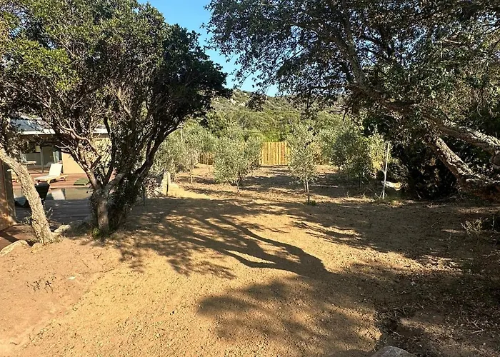 Les Toussaint Alojamento de Acomodação e Pequeno-almoço Pianottoli-Caldarello (Corsica)